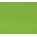 Кромка Лайм зеленый (42x2)