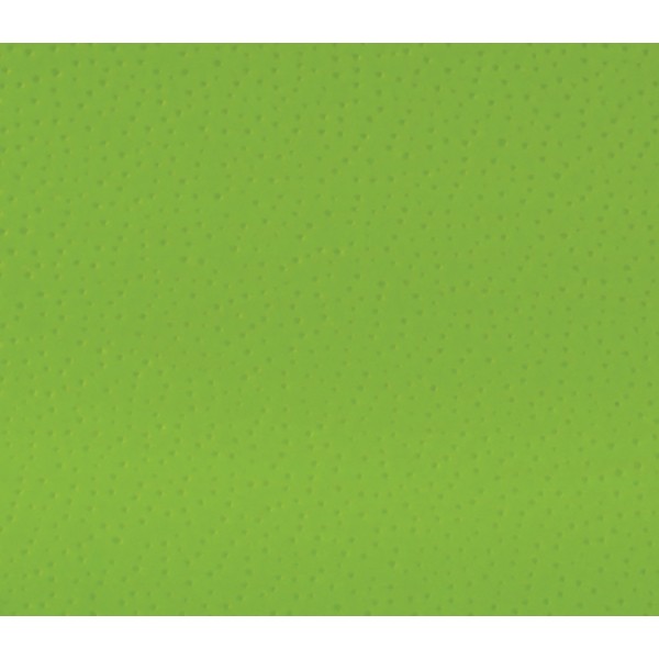 Кромка Лайм зеленый (42x2)